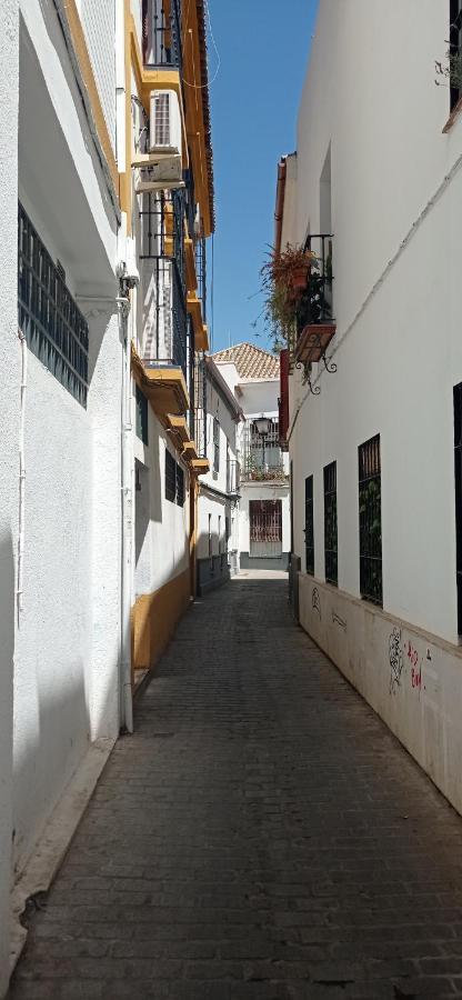 Apartamento Casco Historico Con Atico. Leilighet Sevilla Eksteriør bilde